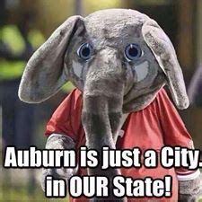 Iron Bowl memes