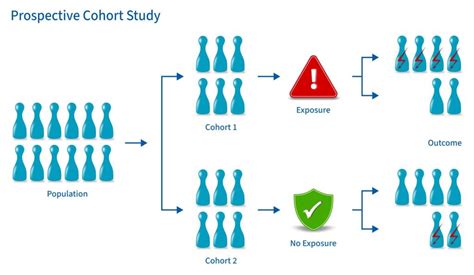 Prospective Cohort Study Design: Definition & Examples