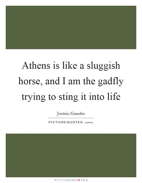 Athens is like a sluggish horse, and I am the gadfly trying to... | Picture Quotes