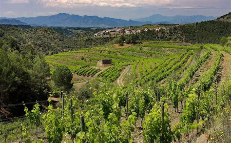 Priorat Wine Region - the best places to visit on a Priorat wine tour