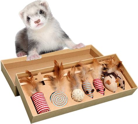 Amazon.com : HAICHEN TEC 7 Pack Ferret Toys - Interactive Ferret Toys ...