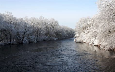 HD wallpaper: winter, trees, river | Wallpaper Flare