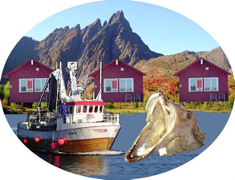 Fishingtrip in Lofoten - Visit Lofoten