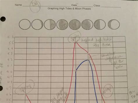 Graphing Spring Tides, Neap Tides, & Moon Phases – Middle School Science Blog