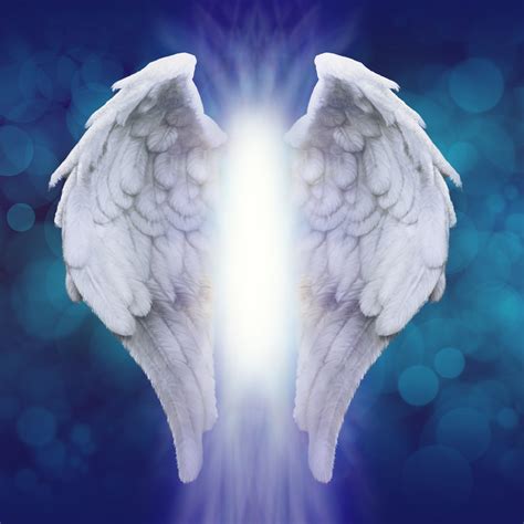 Angelic Wings Scent in 2020 | Angel wings background, Wings, Angel posters