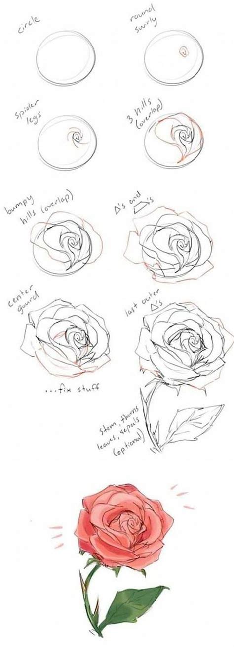 10 Realistic Flower Drawings Step by Step - Easy Drawing Tutorials