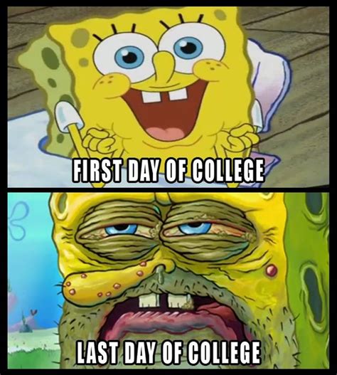 24 Spongebob Memes You'll Understand If You're A College Student