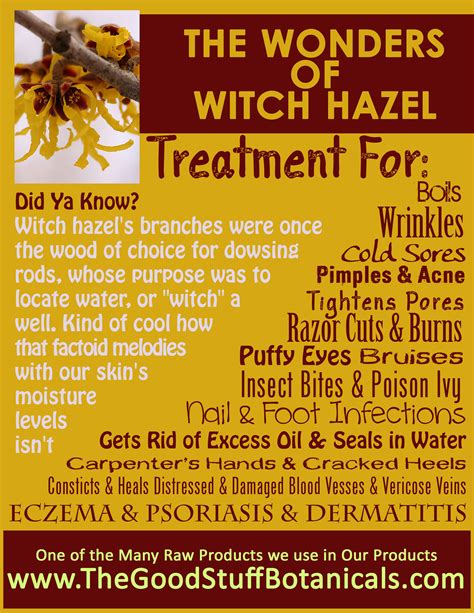 7 Amazing Witch Hazel Uses and Benefits for Your Skin, skins womens ...