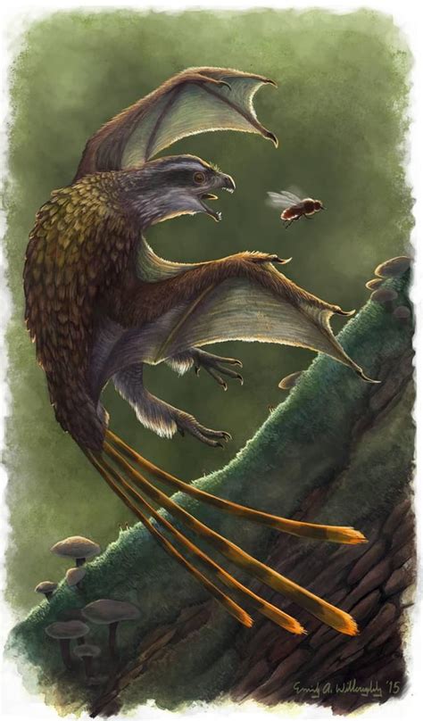 Question about Dromaeosaur feathers (and feather evolution) : Paleontology