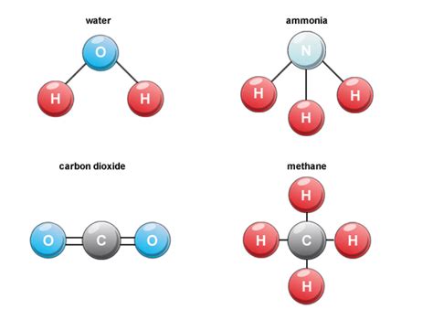 molecules - Buscar con Google Asexual Reproduction In Plants, Loop Of ...