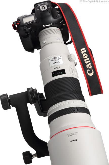 Canon EF 500mm f/4L IS II USM Lens Review