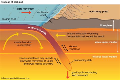 Metamorphic rock - Regional, Foliated, Pressure | Britannica