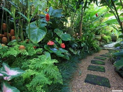 Jardim Tropical: dicas de plantas e inspirações de projetos com fotos!