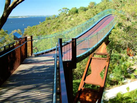 Tree-Top Walk, Kings Park, Perth, Western Australia. Kings Park, Tree Tops, Our World, Western ...