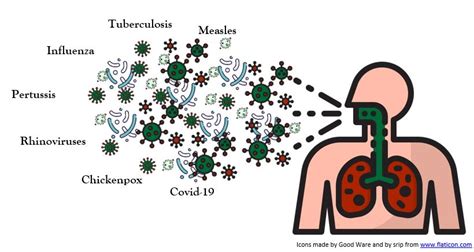 Airborne Infectious Disease Transmission in Hospitals ‒ HOBEL ‐ EPFL