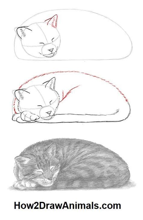 Learn how to draw a sleeping cat in graphite pencil #catdrawings #catart #howtodrawcats # ...