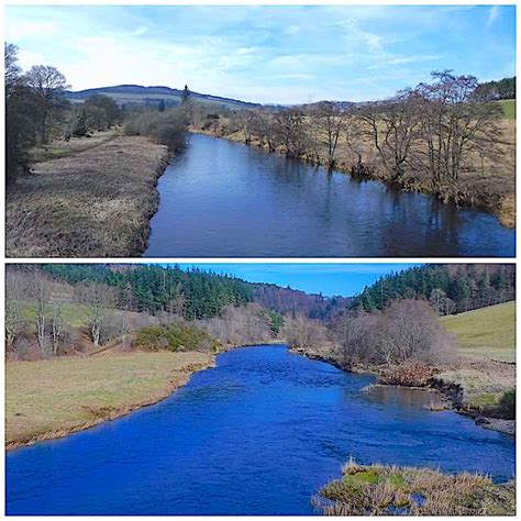 Skunked fishing the River Tweed at Peebles for grayling