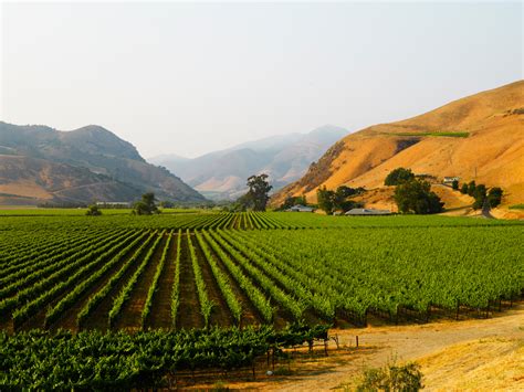 Top Santa Maria Valley Wineries | The JetSetting Fashionista