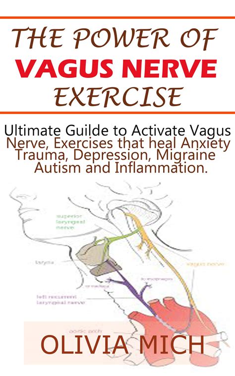 Power of Vagus Nerve Exercise: The Ultimate guide to activate Vagus ...