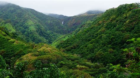 Wallpaper : landscape, grass, sky, beach, palm trees, national park, valley, mountain pass ...