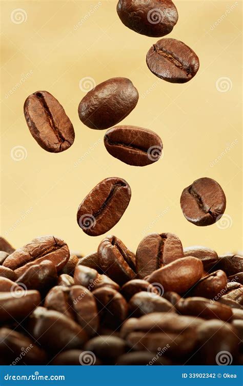 Coffee beans falling stock photo. Image of bean, stack - 33902342