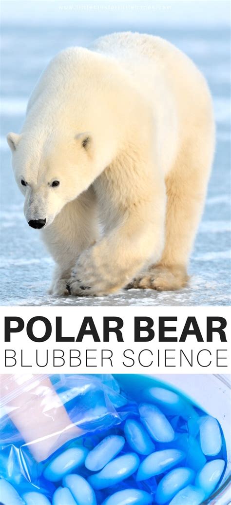 Polar Bear Bubble Experiment | Little Bins for Little Hands