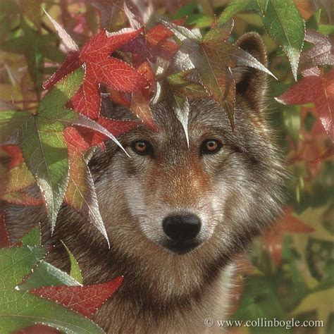 Wolf Drawing, Wolf Wall Art, Autumn Wolf, Grey Wolf, Wolf Portrait ...