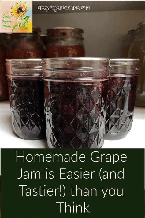 Easy Step-by-Step Canned Grape Jam | Crazy Organic Mama | Grape jam ...