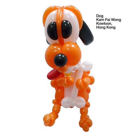 Orange entries Balloon Dog Kam Fai Wong Kowloon, Hong Kong | Dieren