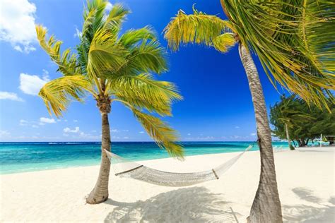 37 Of The Best Beaches In The Caribbean | Celebrity Cruises