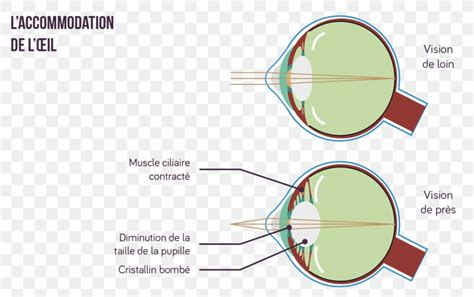 Glasses Accommodation Eye Lens Light, PNG, 1536x963px, Glasses ...