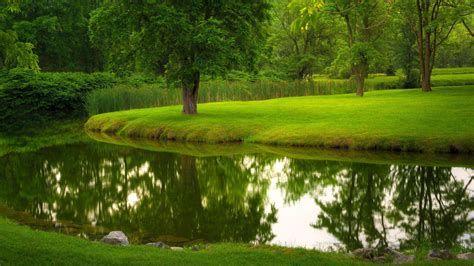 Download wallpaper nature, river, park, lawn, grass, trees, summer ...