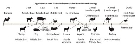 The Domestication of Species and the Effect on Human Life | Real ...