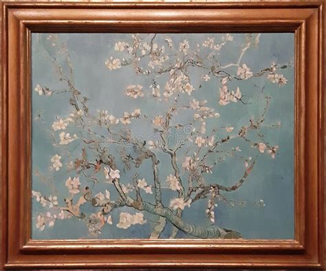 Photo of the Famous Original Painting: `Almond Blossom` by Vincent Van Gogh Editorial ...