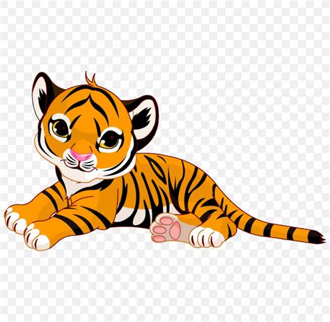 Tiger Cartoon Stock Photography Royalty-free, PNG, 800x800px, Tiger ...