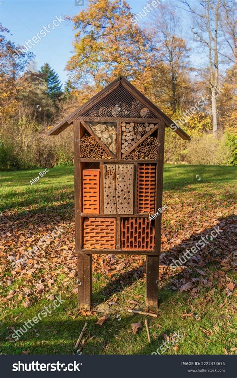 75 Bee Nest In Lawn Stock Photos, Images & Photography | Shutterstock