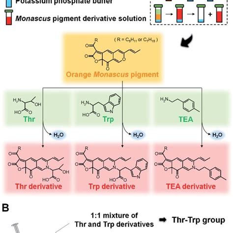 Schematic illustration of synthesis of threonine (Thr), tryptophan... | Download Scientific Diagram