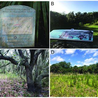 arious photos of Fort Center: A) a map of Fisheating Creek Wildlife... | Download Scientific Diagram