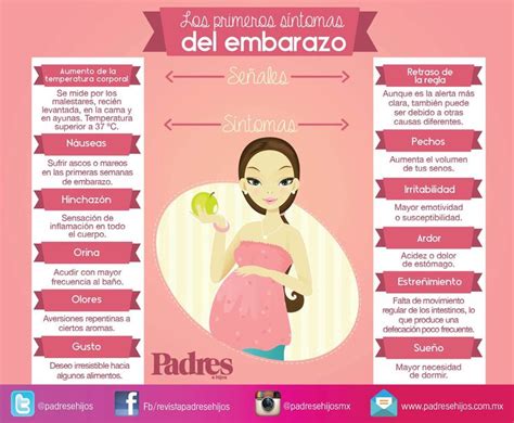 Signos del embarazo | Síntomas de embarazo, Primeros síntomas de embarazo, Embarazo y parto