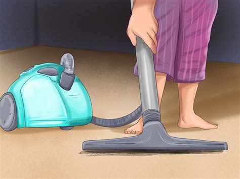 4 Ways to Reduce Cat Dander - wikiHow