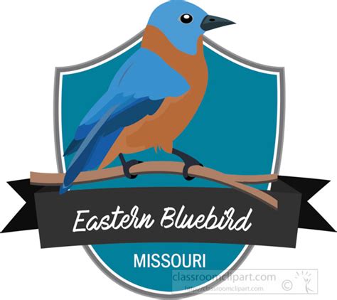 Missouri State Clipart - state-bird-of-missouri-eastern-bluebird-clipart - Classroom Clipart