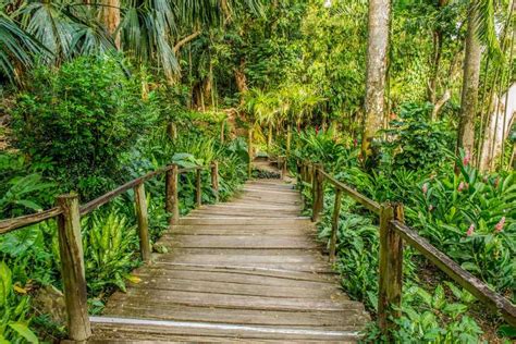 Viti Levu: Mud Pool, Temple, and Sleeping Giant Garden | GetYourGuide