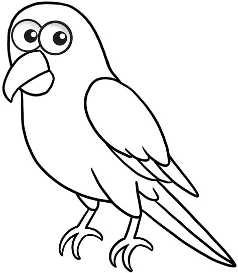 Clipart Image Of Parrot - Infoupdate.org