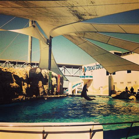 Corpus Christi Aquarium Hours