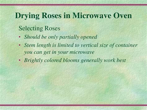 Drying Roses by Cindy Garrett - ppt download