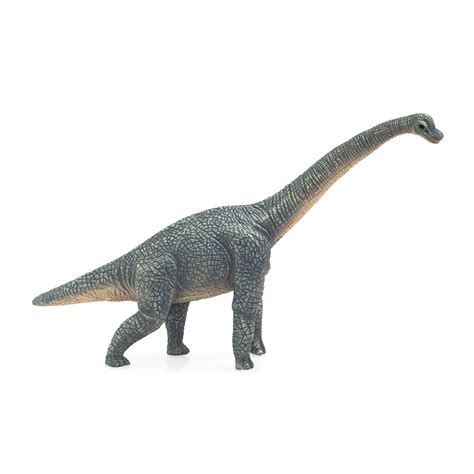 MOJO - Realistic Dinosaur Figurine, Brachiosaurus - Walmart.com