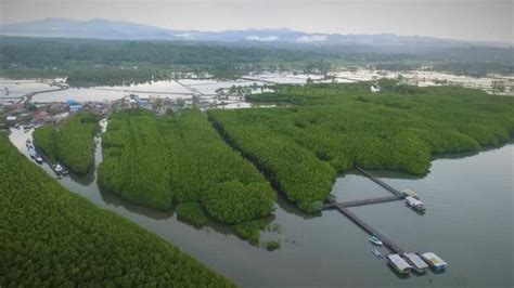 Desa Tongke-Tongke Dipilih Jadi Pusat Pengembangan Budidaya Rumput Laut ...