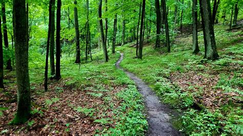 Happyly: Fumee Lake Natural Area