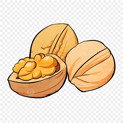 Snacks Nuts Clipart Transparent PNG Hd, Nut Walnut Cartoon Snack, Nut Clipart, Snacks, Nuts PNG ...