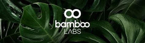 Bamboo Labs - Glucosamina, Condroitina, MSM, Boswellia, Acido Ialuronico e Quercetina, 120 ...